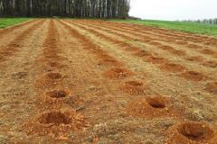 Field ready for planting