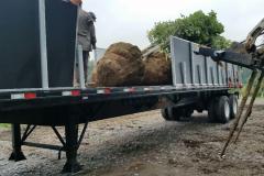 Loading Customer with Large Trees