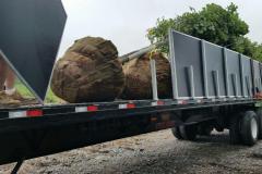 Loading Customer with Large Trees